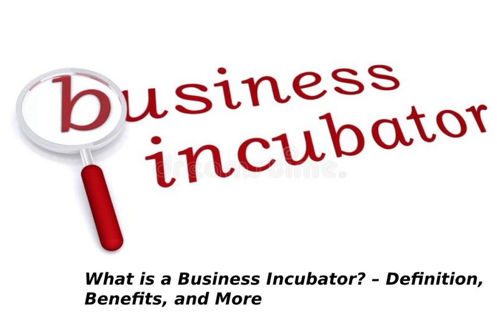 What is a Business Incubator? – Definition, Benefits, and More - 2021