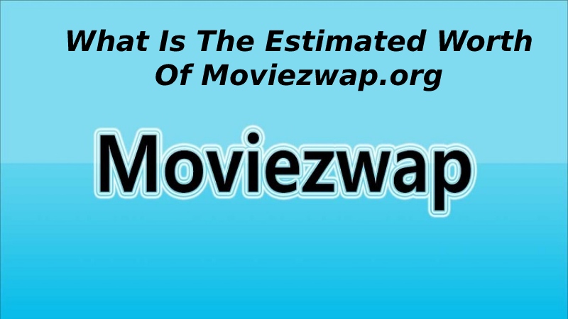 What Is The Estimated Worth Of Moviezwap.org
