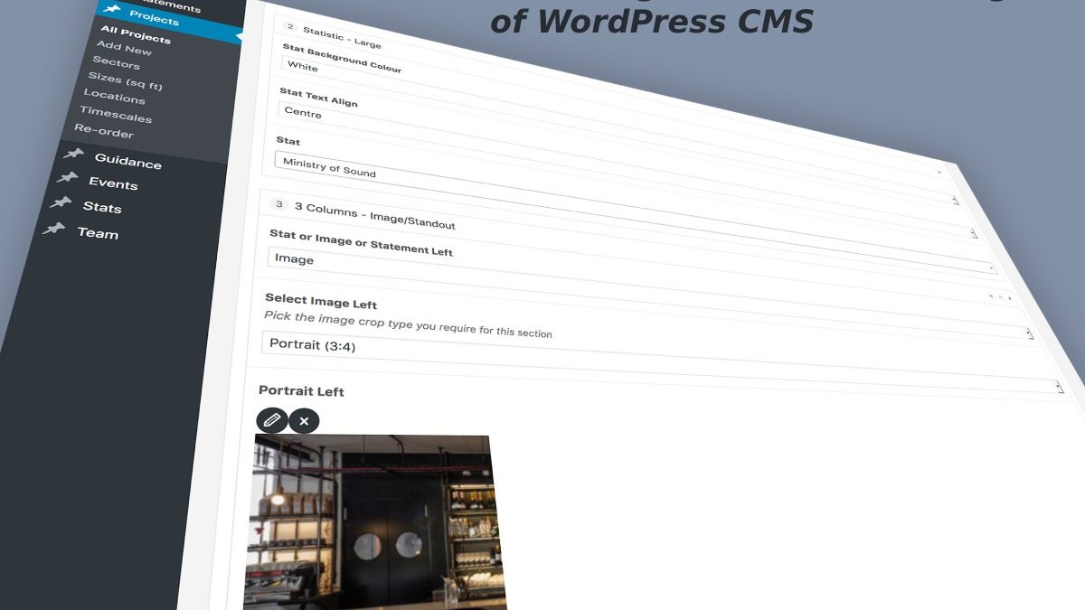 Advantages and Disadvantages of WordPress CMS