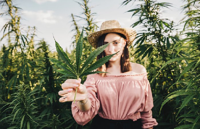 CBD 