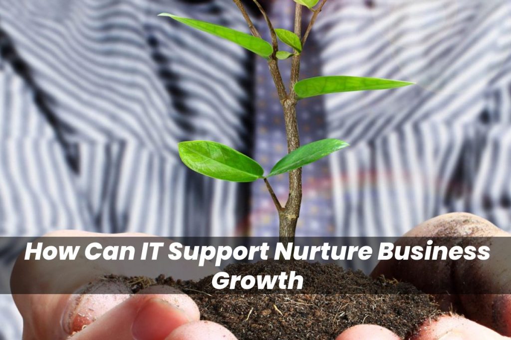 How Can IT Support Nurture Business Growth
