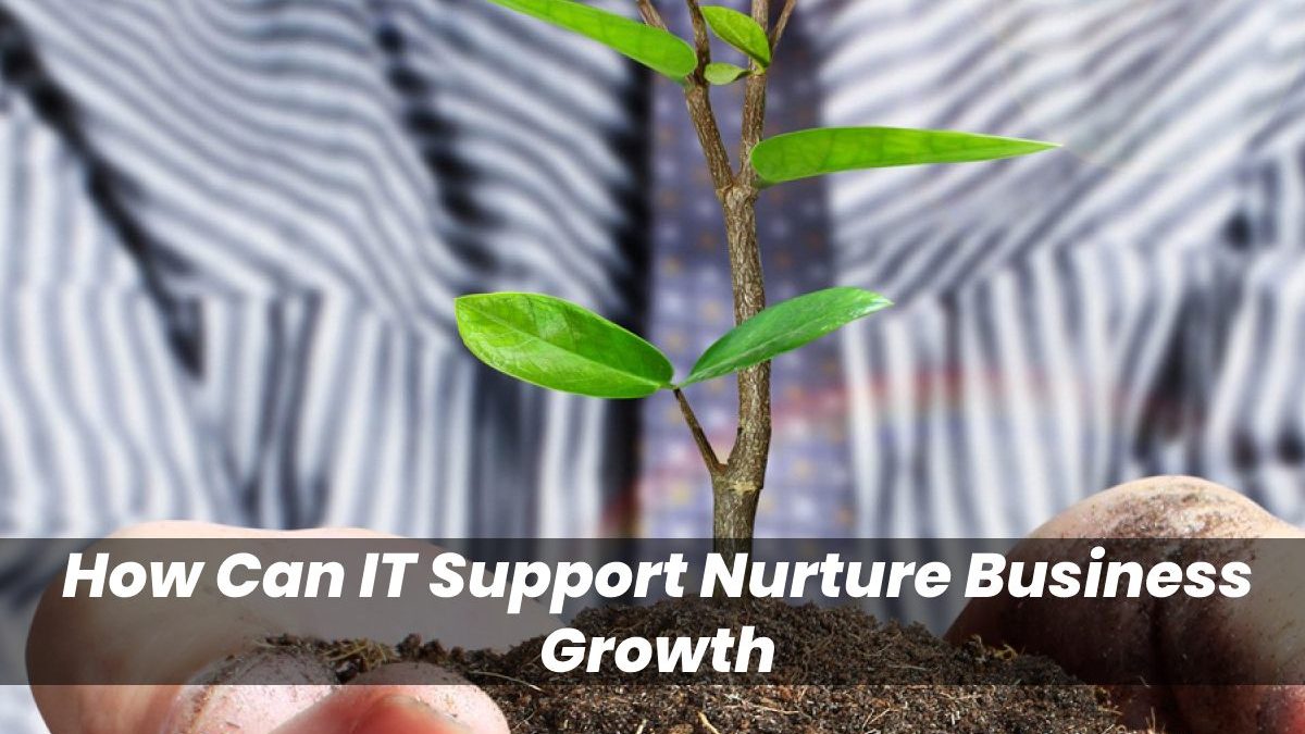 How Can IT Support Nurture Business Growth?