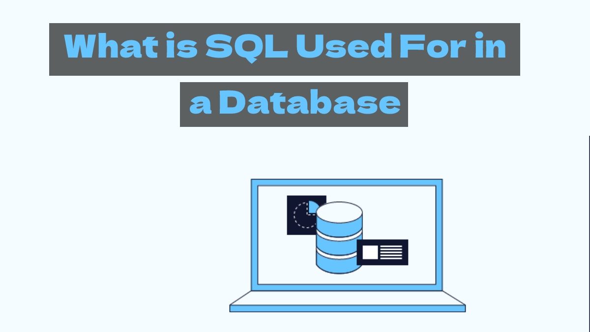 What is SQL Used For in a Database?