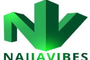 NaijaVibes Website