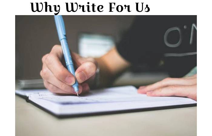 why seo trends