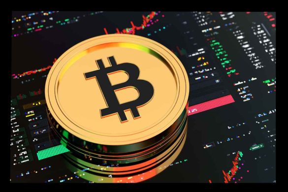 PKT Cash and the Actual Appeal of Crypto Investing