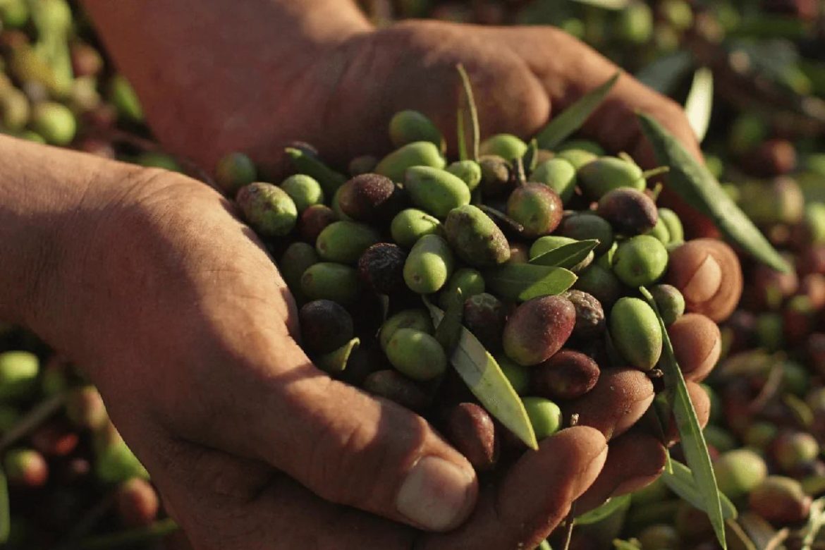 The Benefits of Choosing Local: Supporting Artisan Producers Across London